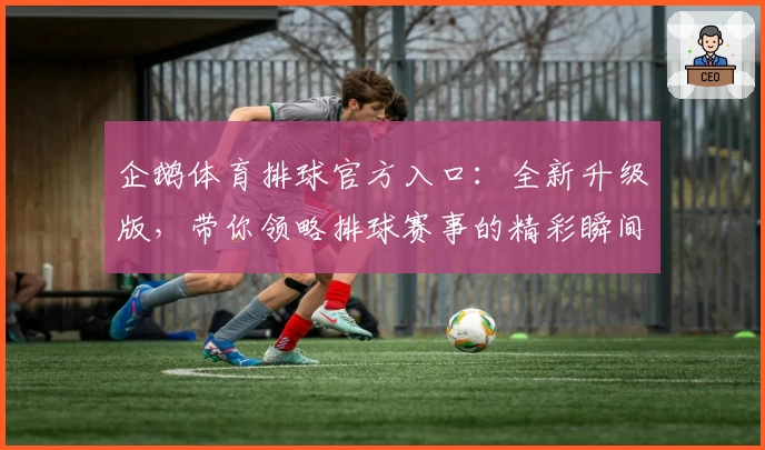 企鹅体育排球官方入口：全新升级版，带你领略排球赛事的精彩瞬间