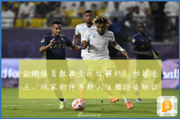 企鹅体育数据全方位解析：功能亮点、玩家测评与新人注册指南助你快速上手