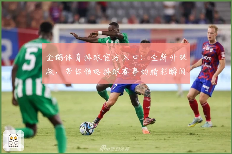 企鹅体育排球官方入口：全新升级版，带你领略排球赛事的精彩瞬间