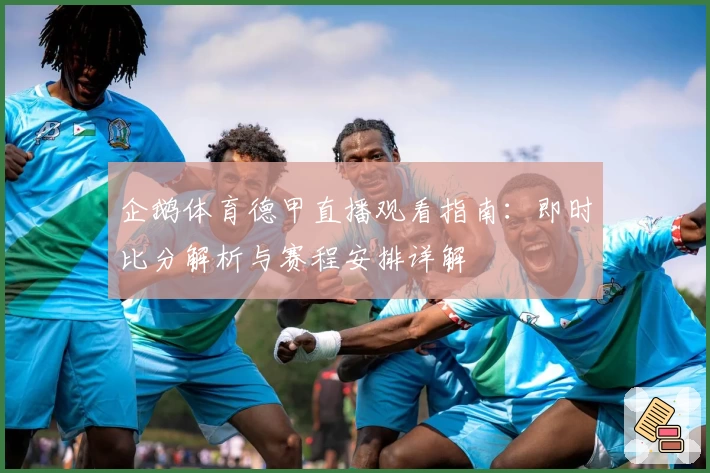 企鹅体育德甲直播观看指南：即时比分解析与赛程安排详解