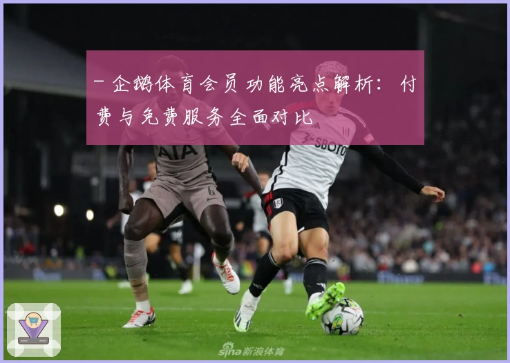 - 企鹅体育会员功能亮点解析：付费与免费服务全面对比