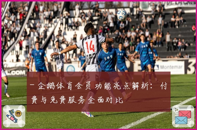 - 企鹅体育会员功能亮点解析：付费与免费服务全面对比