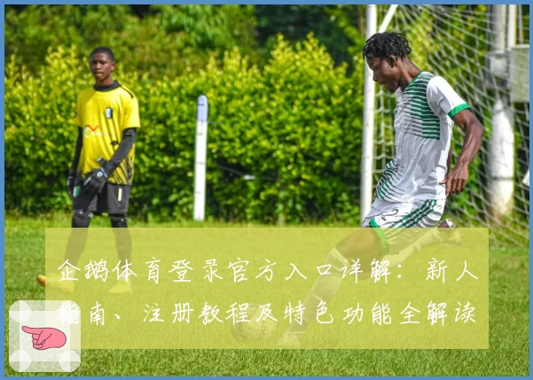 企鹅体育登录官方入口详解：新人指南、注册教程及特色功能全解读